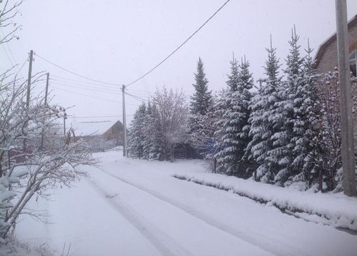 снегопад в Саяногорске 14 апреля 2016 г. Фото: @irsibira